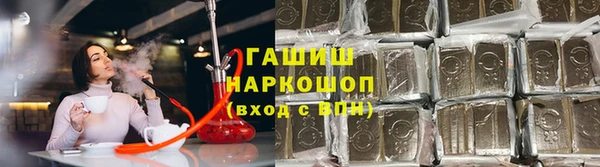 сатива Коряжма