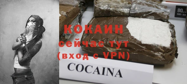 сатива Коряжма