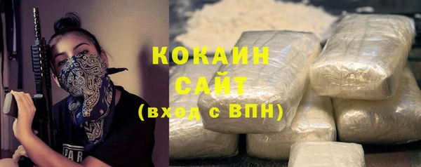винт Костерёво