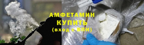 сатива Коряжма