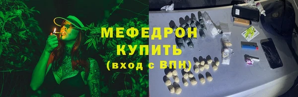 сатива Коряжма