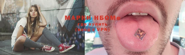 сатива Коряжма