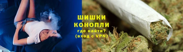 сатива Коряжма
