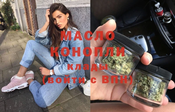 сатива Коряжма