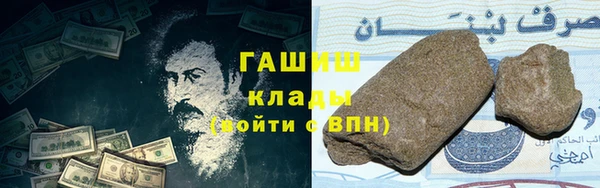 сатива Коряжма