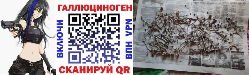Псилоцибиновые грибы Magic Shrooms  Купить где  Дзержинск 